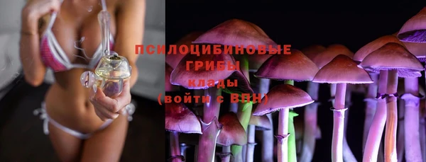 стафф Абдулино