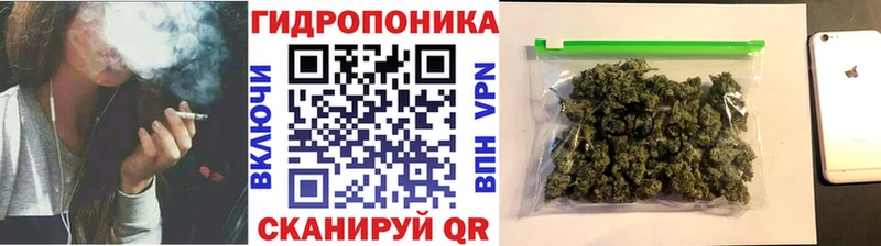 Канабис семена  Черкесск 